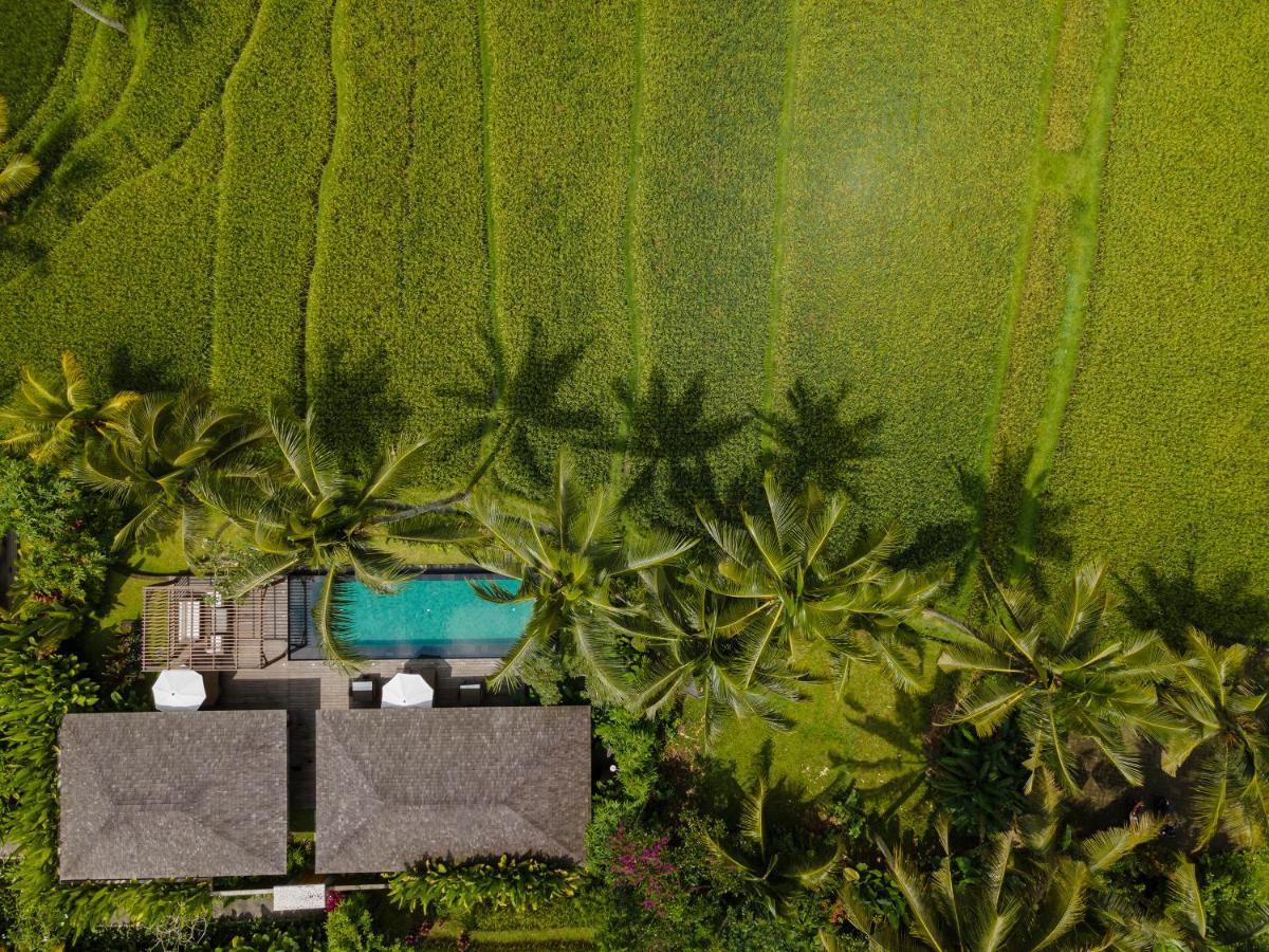 Kappa Senses Ubud Екстериор снимка