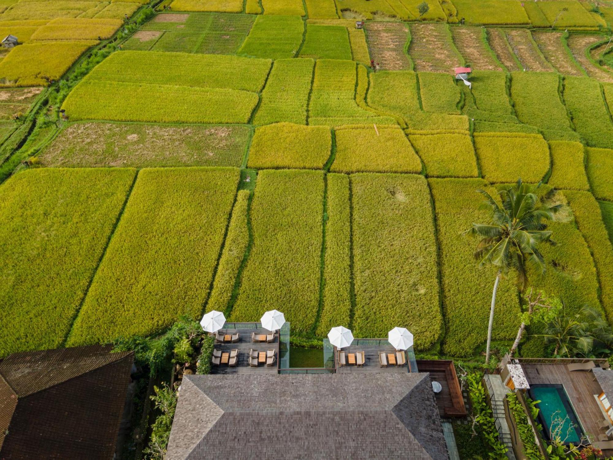 Kappa Senses Ubud Екстериор снимка