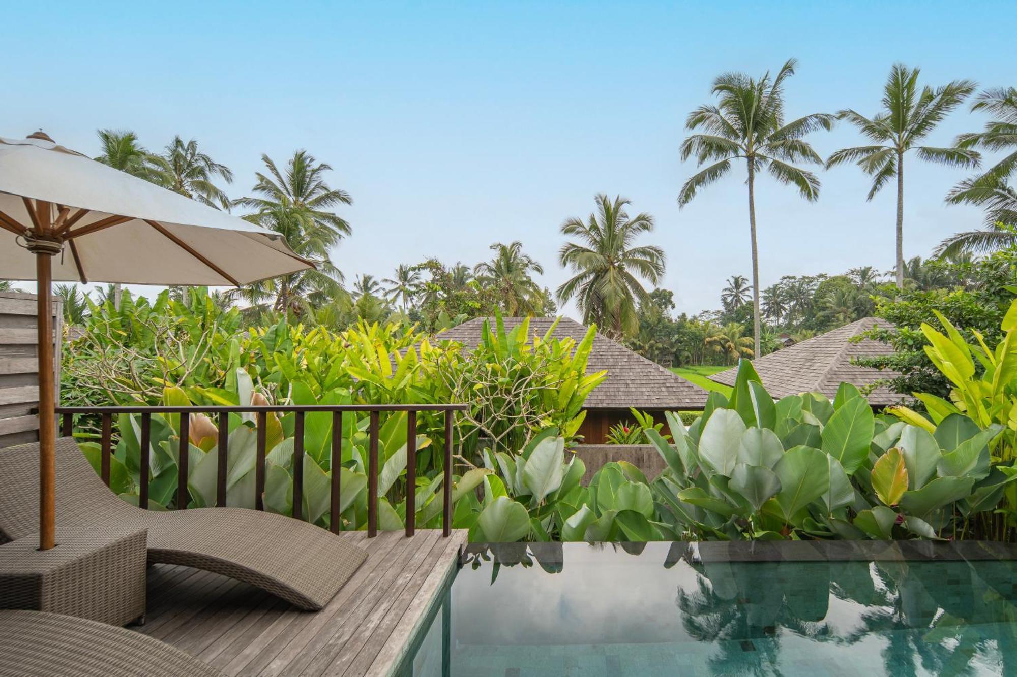 Kappa Senses Ubud Стая снимка