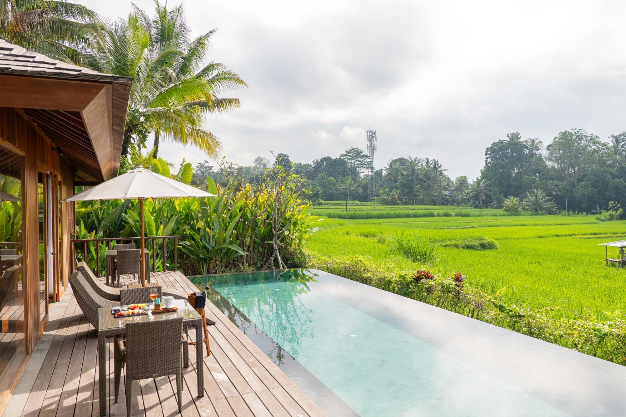Kappa Senses Ubud Стая снимка