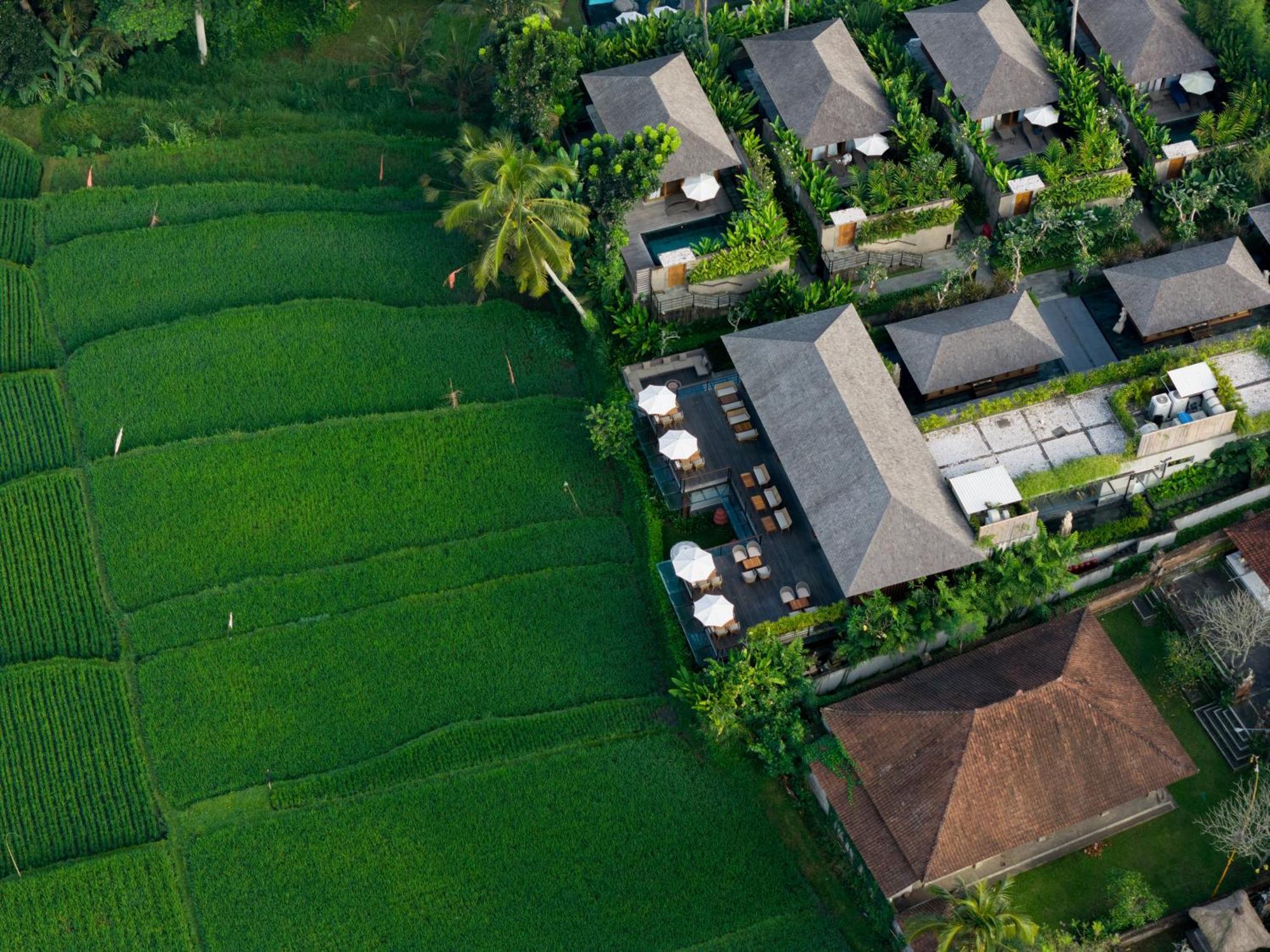 Kappa Senses Ubud Екстериор снимка