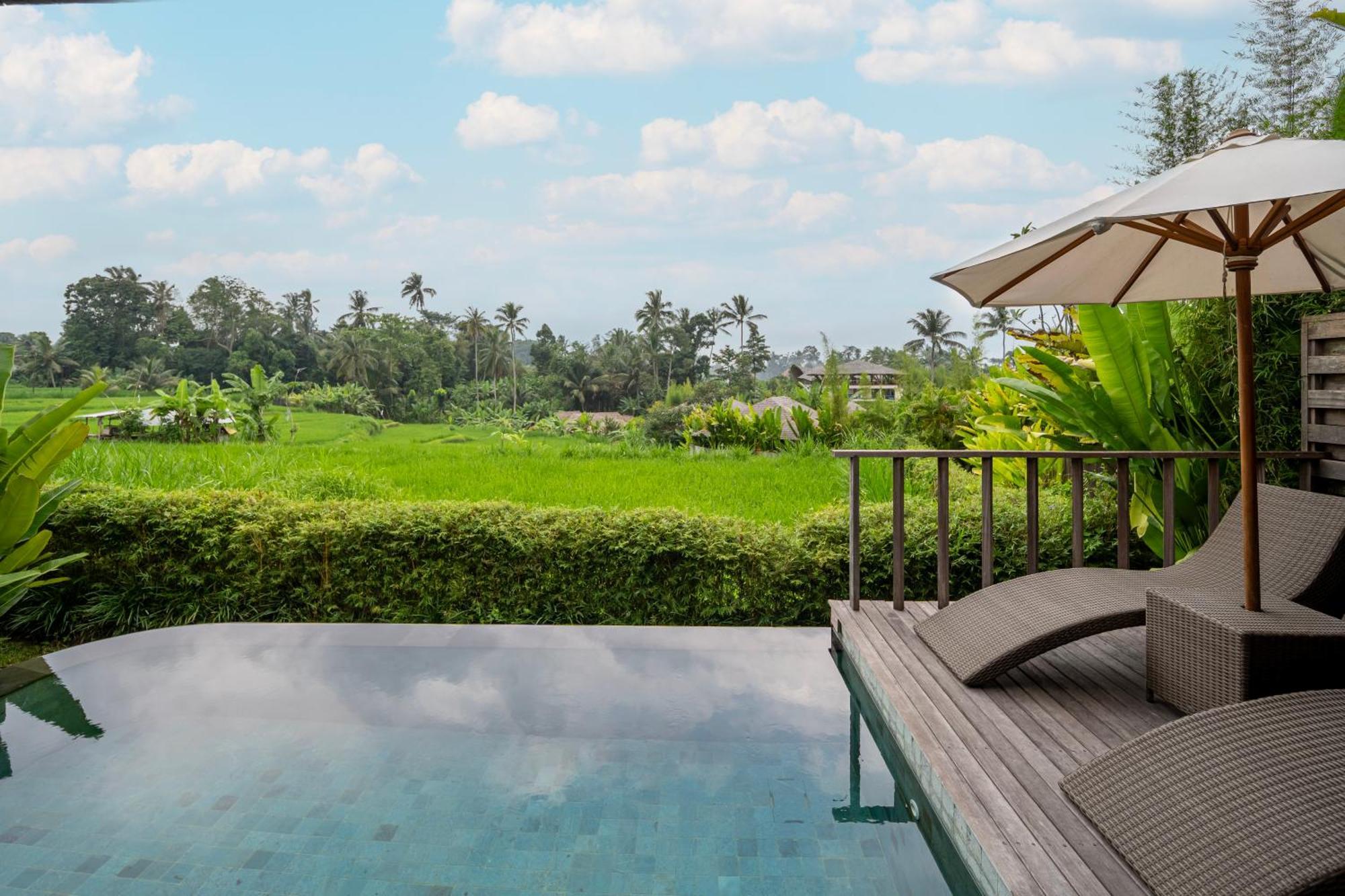 Kappa Senses Ubud Стая снимка